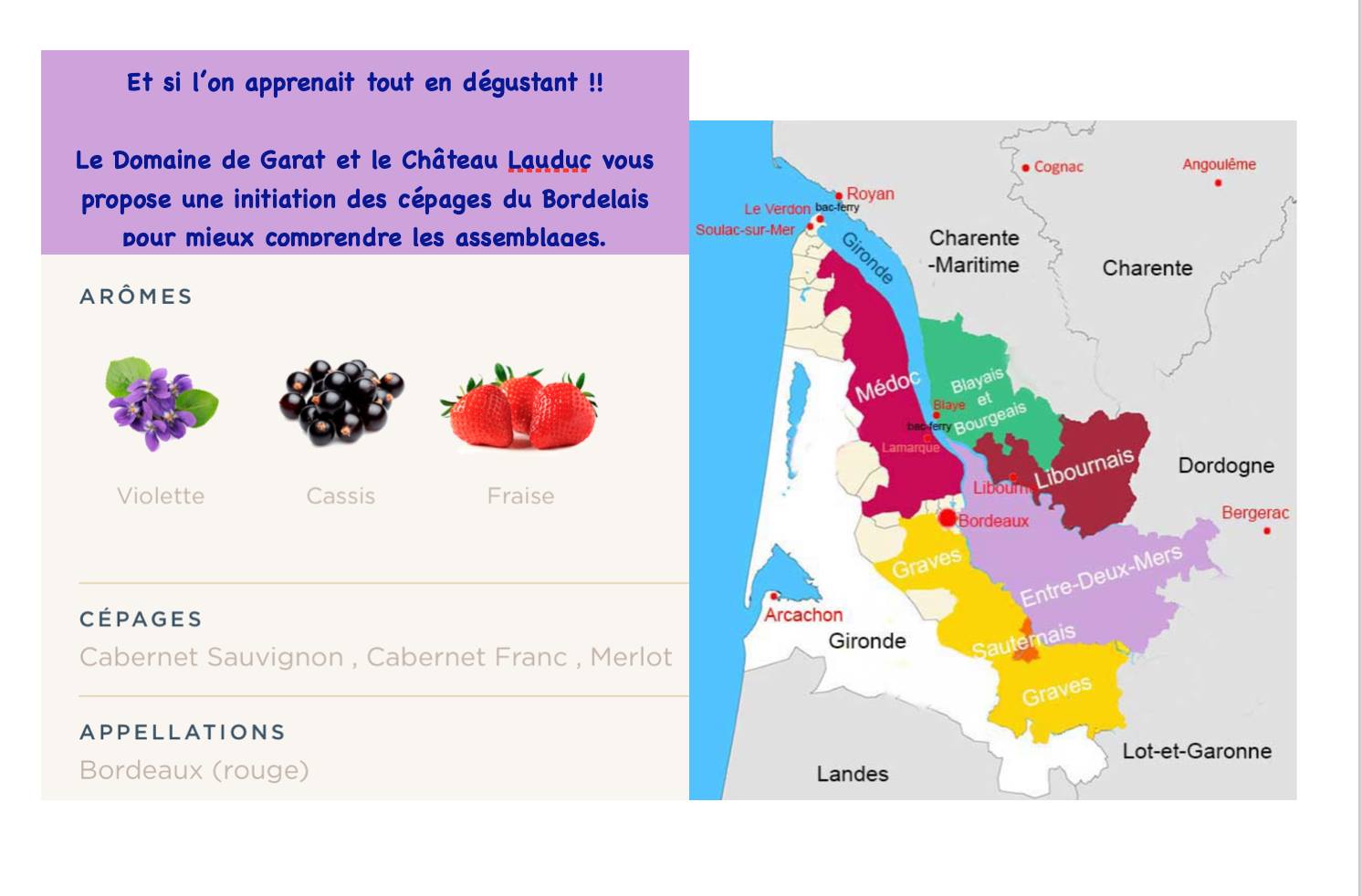 Découverte et dégustation des cépages du Bordelais