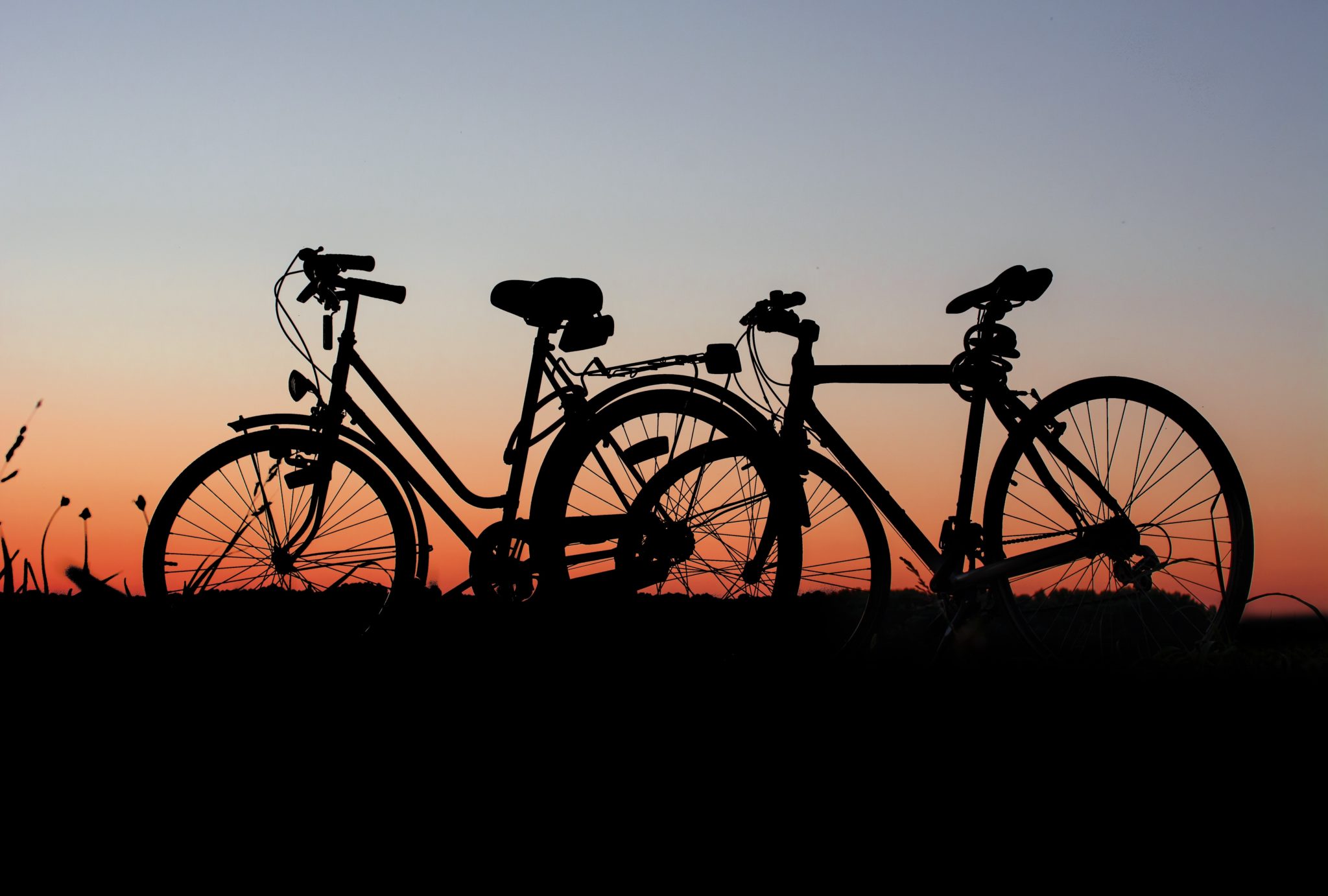 Silhouette De Vélo Sur L'herbe