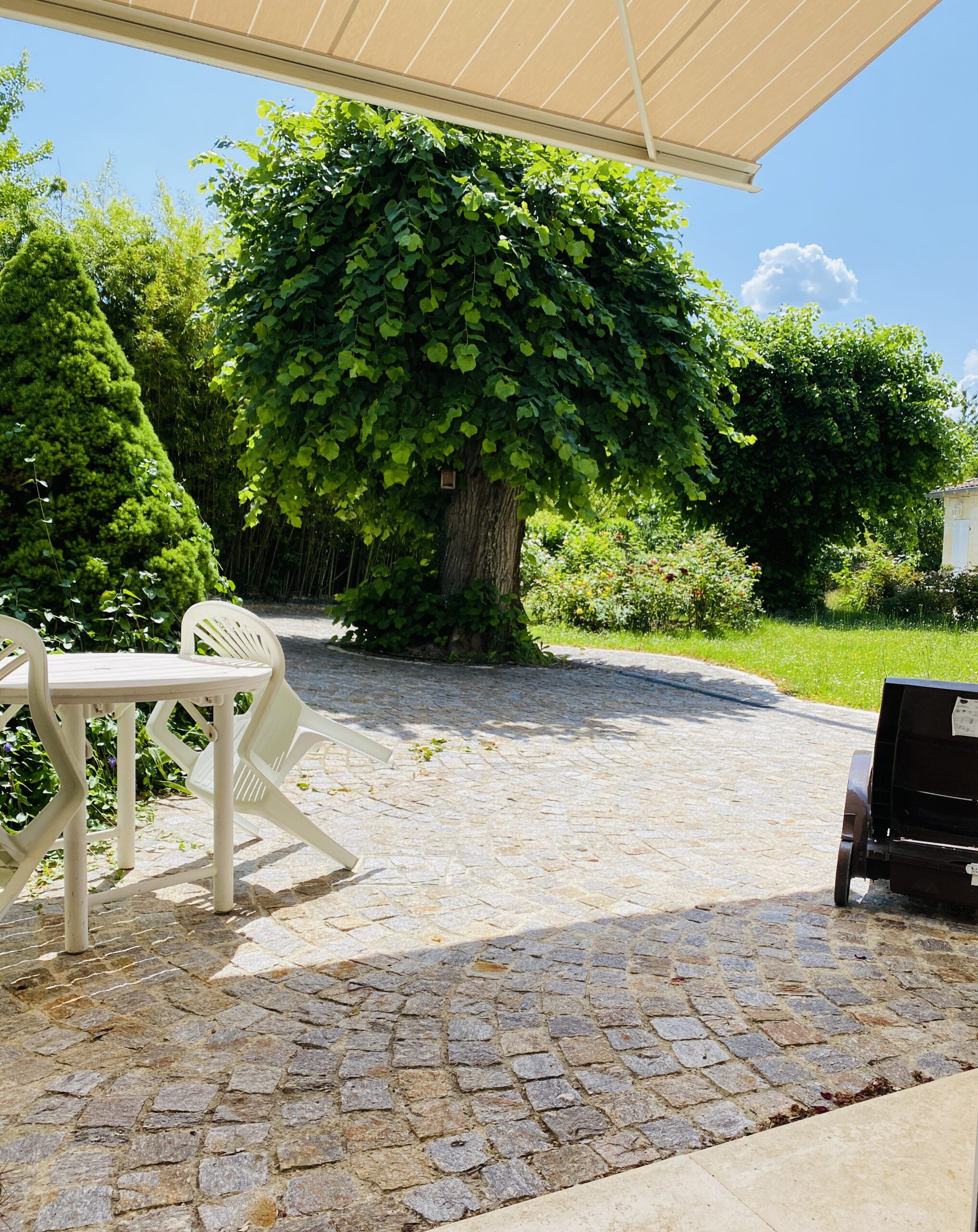 jardin et terrasse